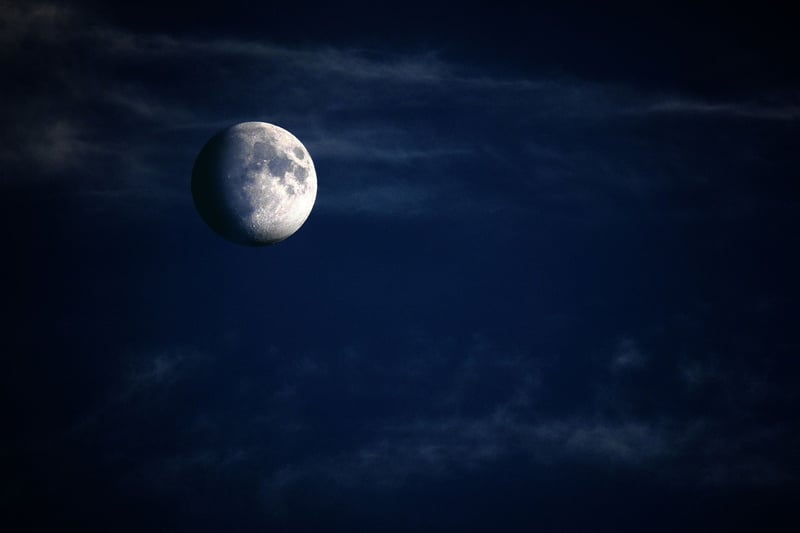 Moonlit Veil